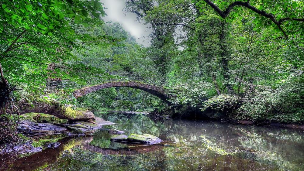 Serene Stone Bridge in Lush Forest wallpaper