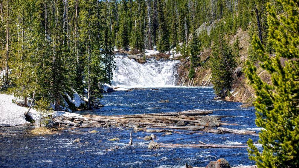 Winter Serenity by a Yellowstone River wallpaper