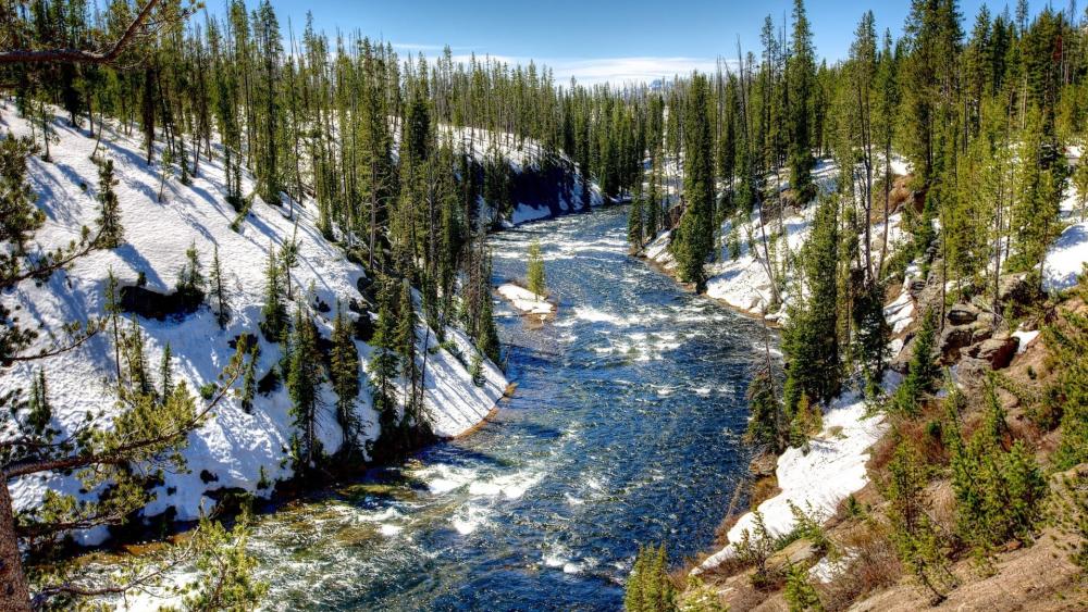 Winter Serenity in Yellowstone National Park wallpaper