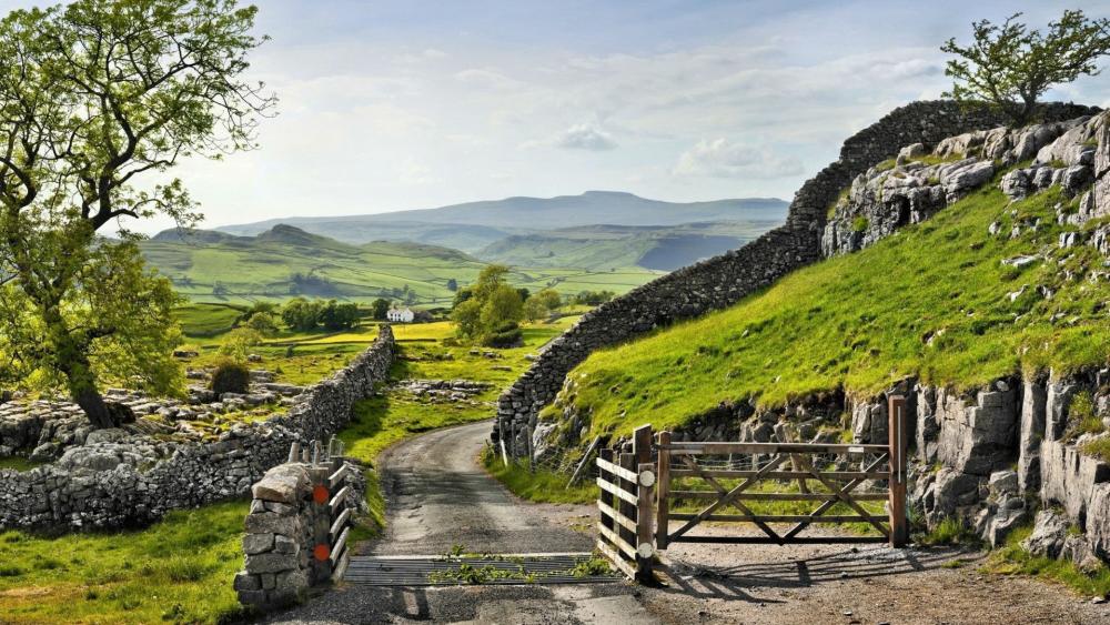 Serene Countryside Path in Yorkshire Dales wallpaper