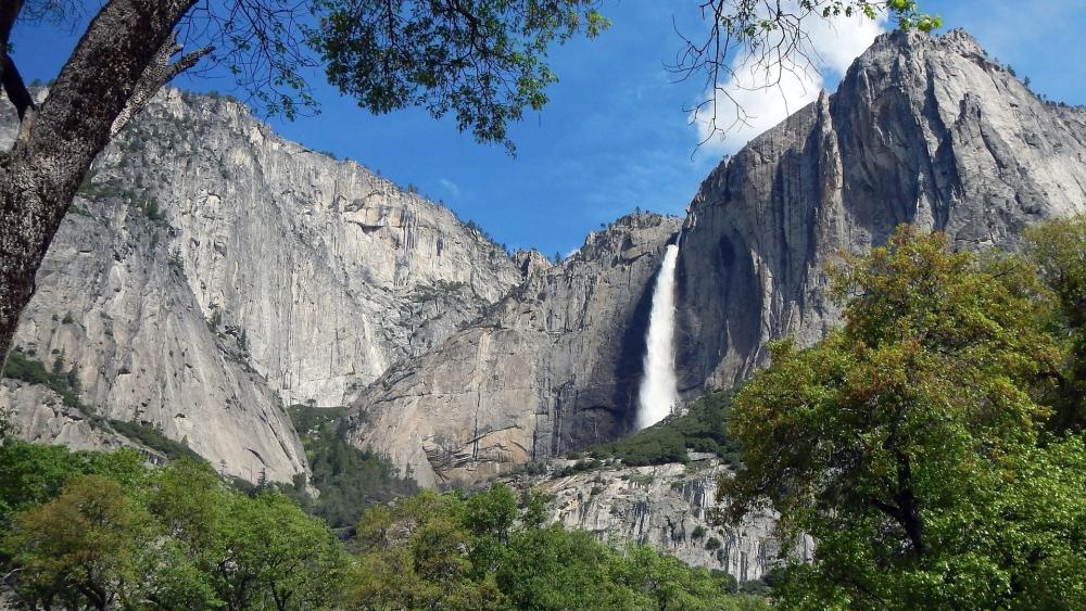 Majestic Yosemite Falls wallpaper