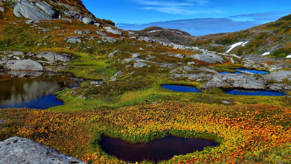 Serene Mountain Pondscape wallpaper