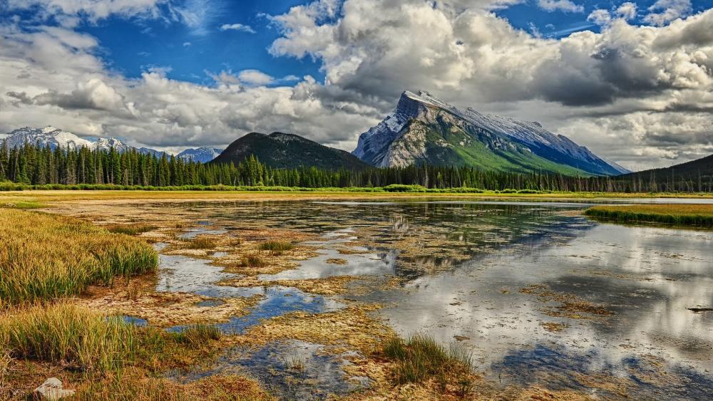 Serene Vermilion Lakes Reflection at Banff National Park wallpaper