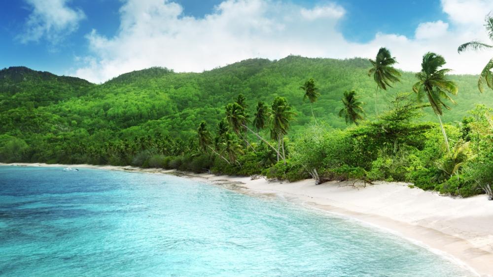 Tropical Paradise on Mahe Island, Seychelles wallpaper