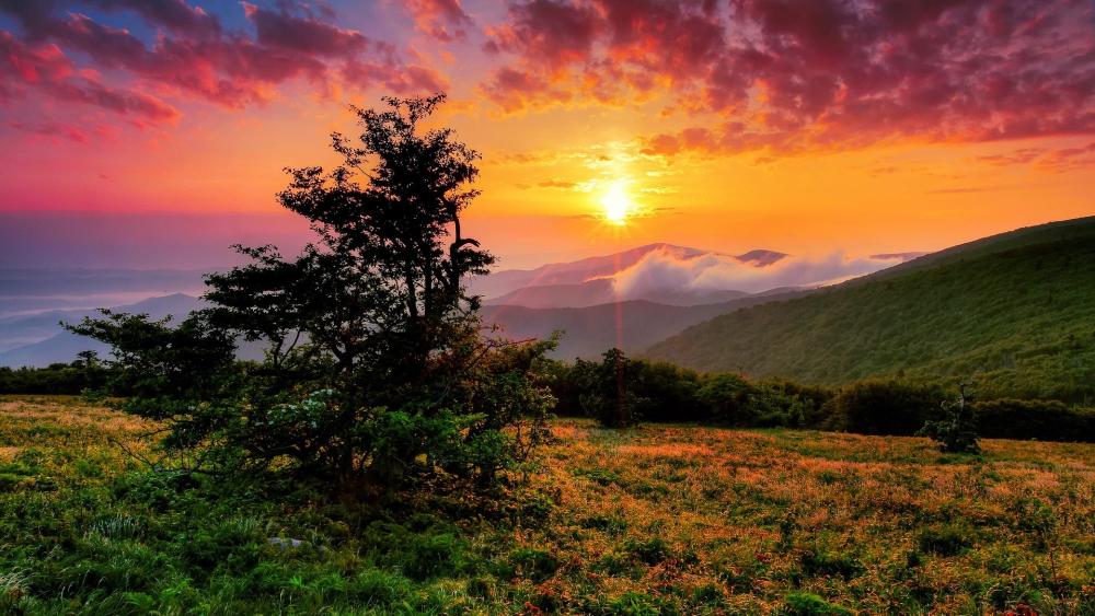 Sunrise Over North Carolina Hills wallpaper