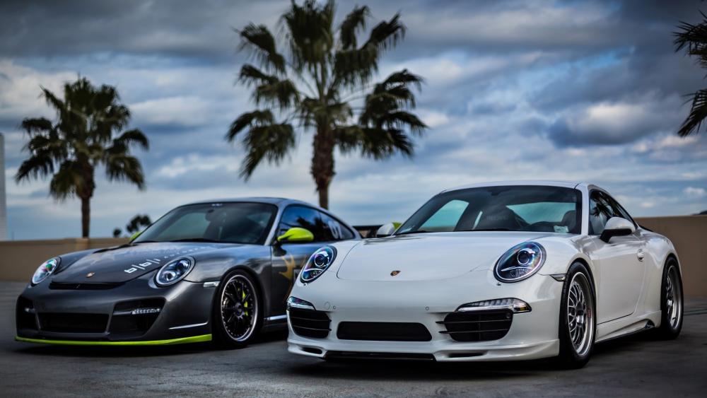 Porsche Duo on a Scenic Background wallpaper