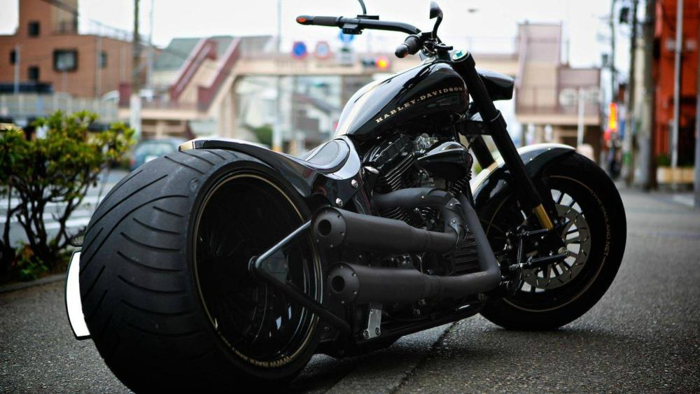 Harley-Davidson Chopper Street Vibes wallpaper