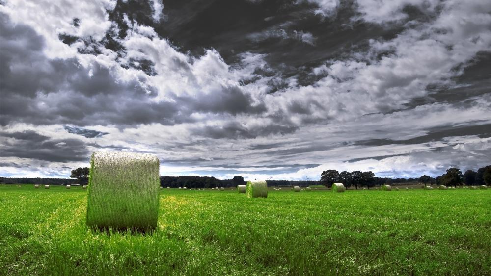 Hay Bales on a Cloudy Day wallpaper