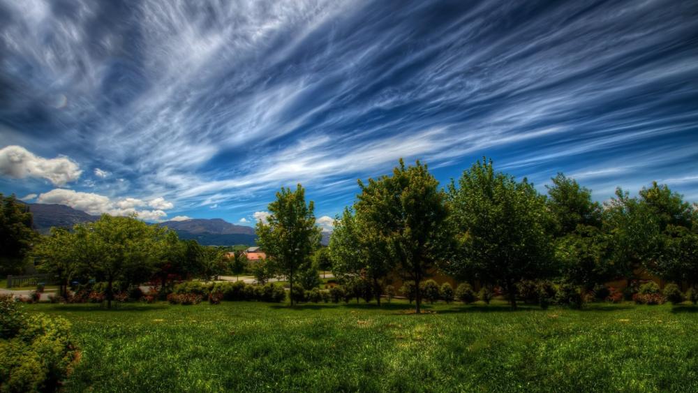 Vibrant Daytime Forest-scape wallpaper