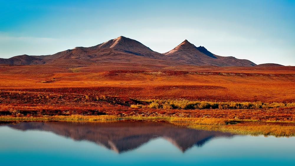 Majestic Blackstone Mountain Reflection wallpaper