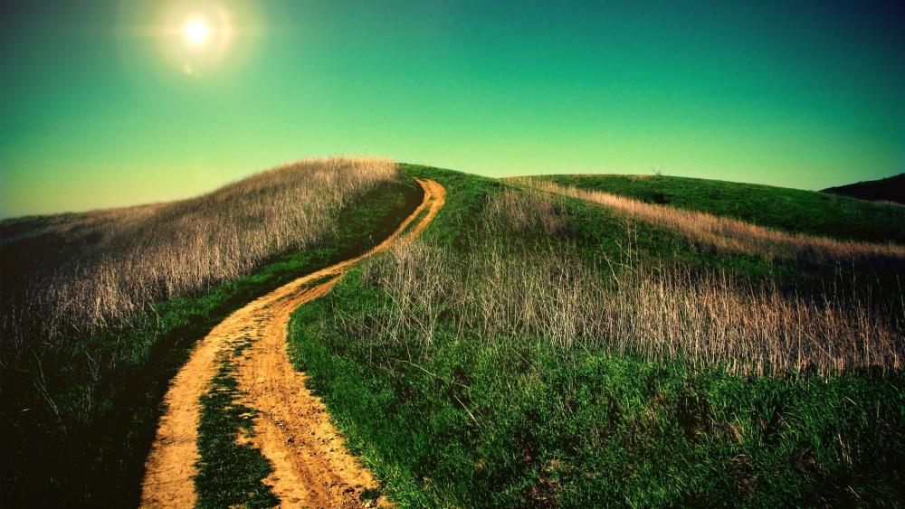 Sunny Pathway on Rolling Hills wallpaper