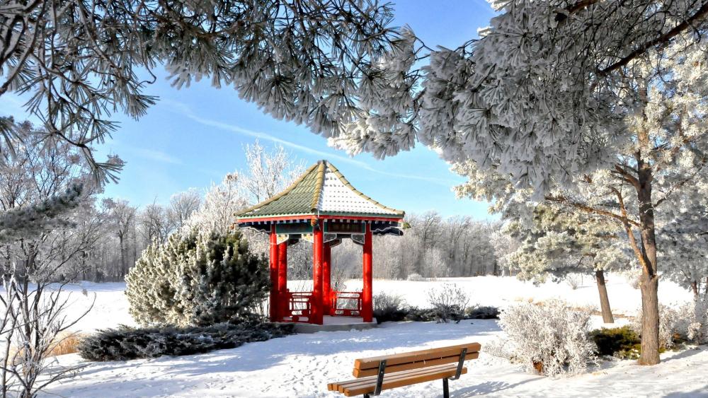 Winter Serenity in a Snowy Garden wallpaper