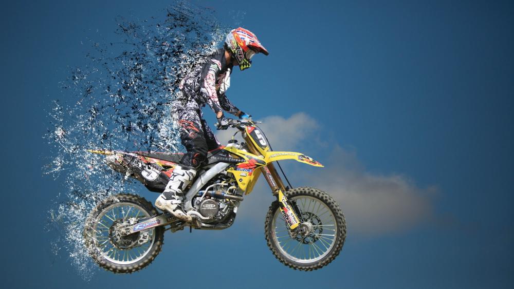 Freestyle Motocross in Action wallpaper