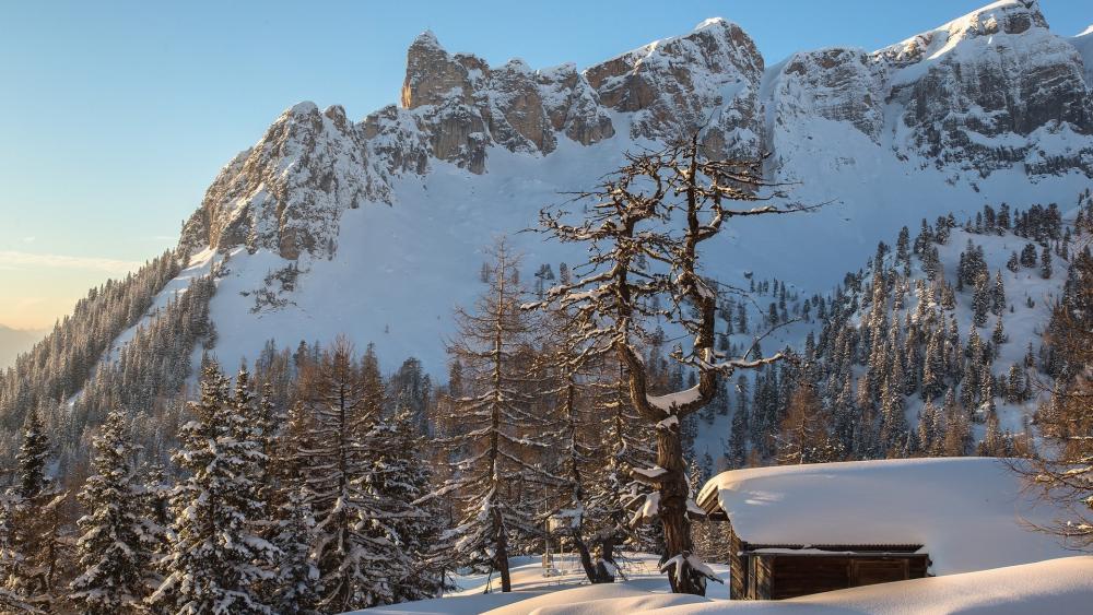 Winter Serenity in the Alps wallpaper