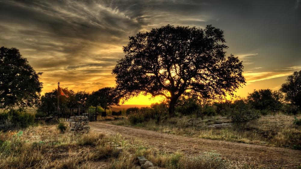 Golden Sunset Over Serene Farm wallpaper