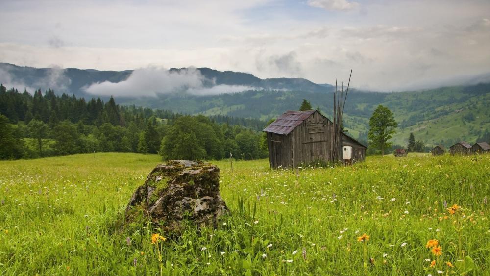 Rustic Shack in Serene Meadow wallpaper