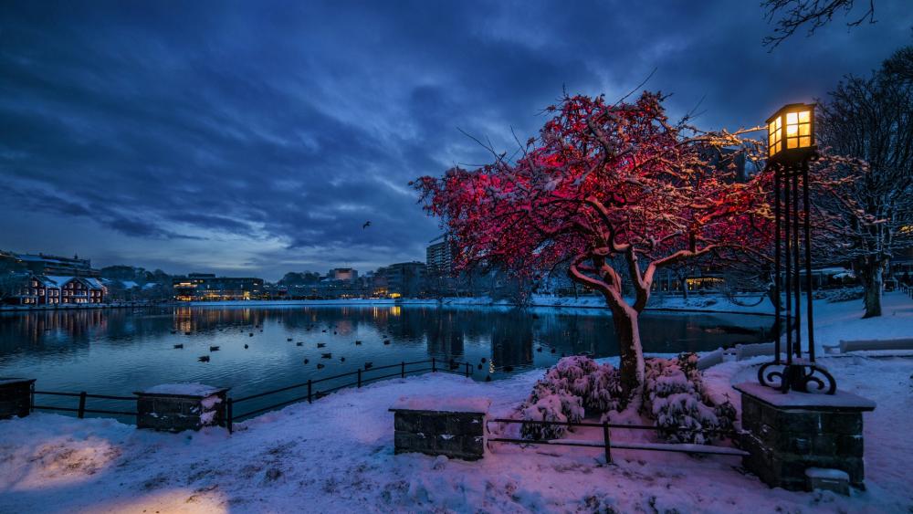 Twilight in a Snow-Covered City wallpaper