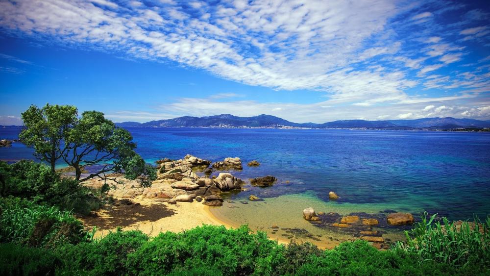 Corsican Coastal Paradise wallpaper