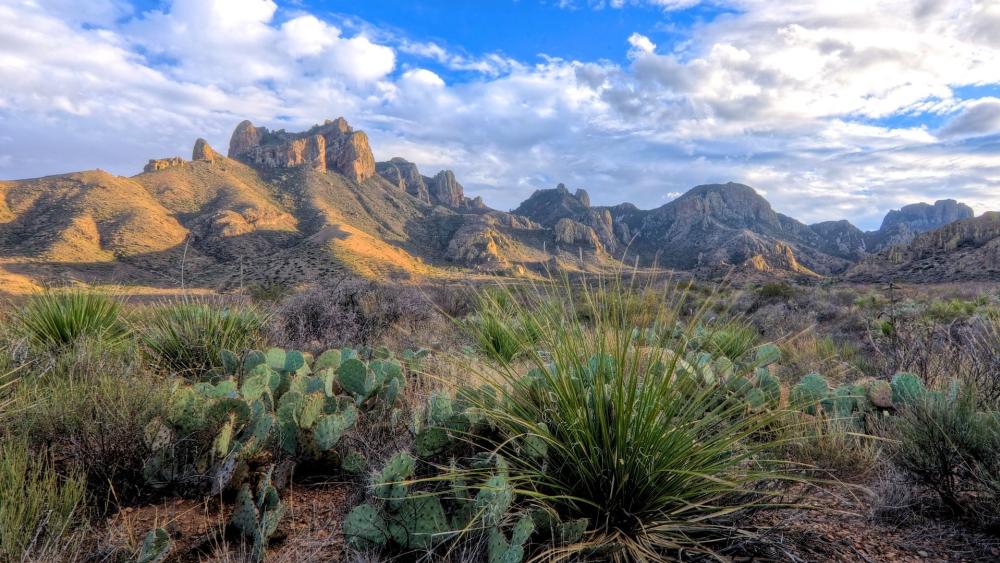 Majestic Landscape of Big Bend National Park wallpaper