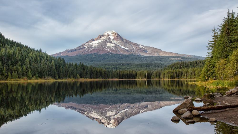 Serene Reflection of Mount Hood at Trillium Lake wallpaper