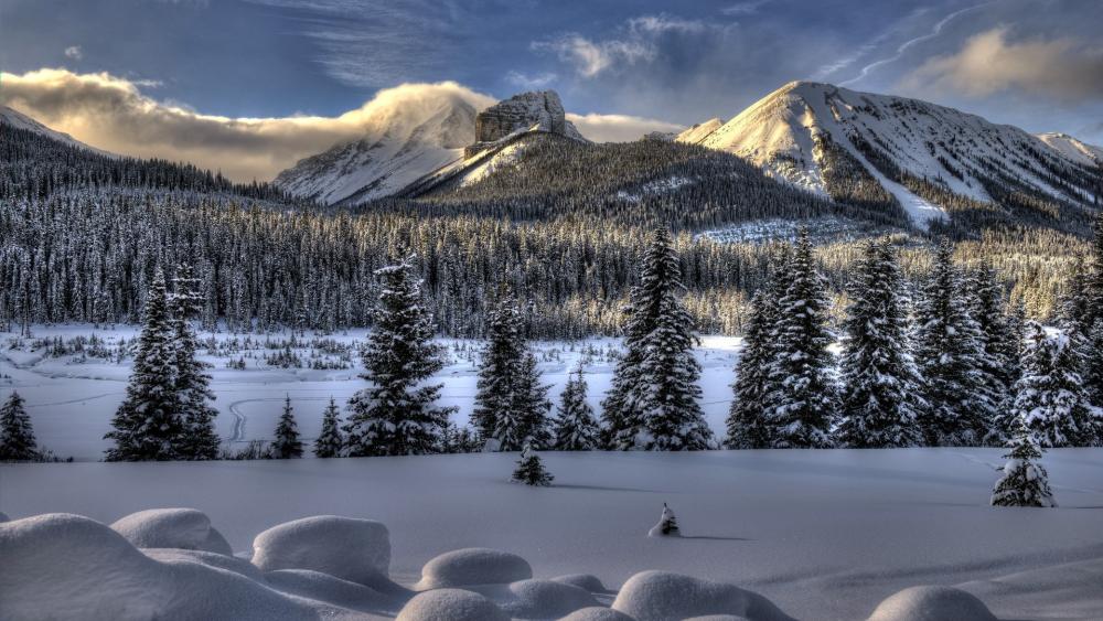 Winter Wonderland in the Majestic Mountains wallpaper