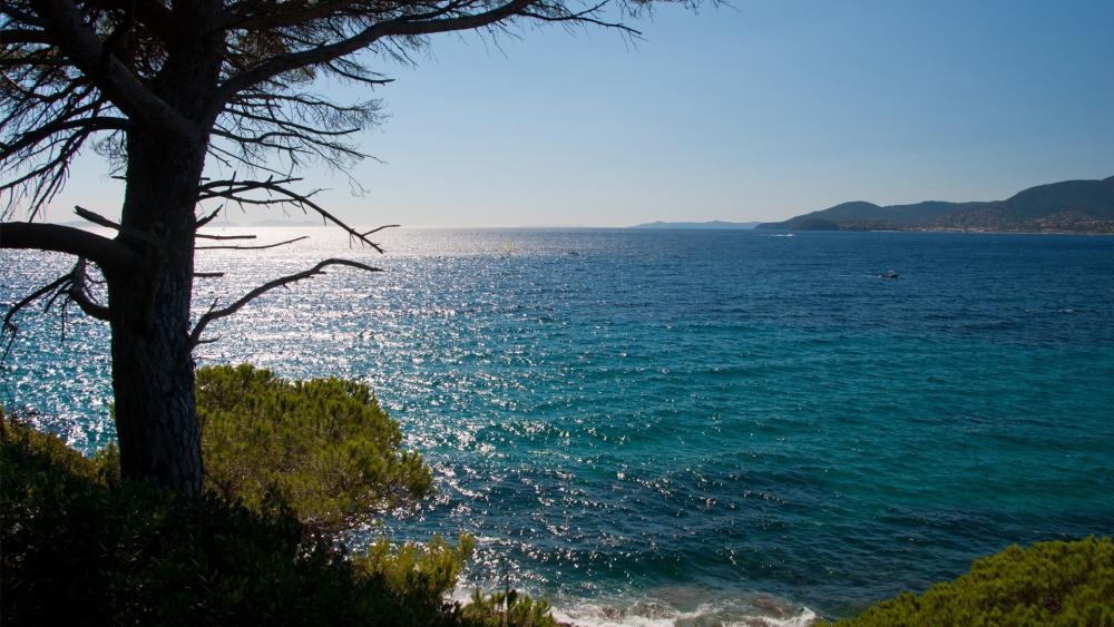 Azure Waters of Calanque d'Aiguebonne wallpaper