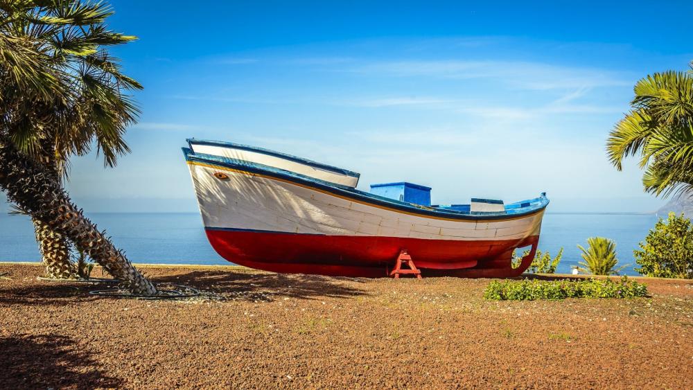 Vintage Boat Resting on Tropical Shore wallpaper