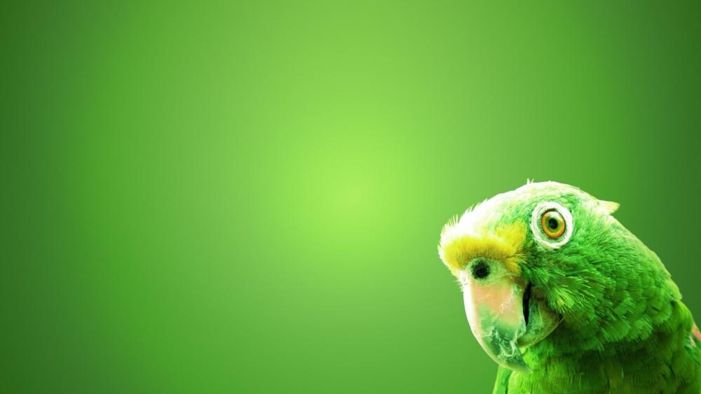 Vibrant Green Parrot Charm wallpaper