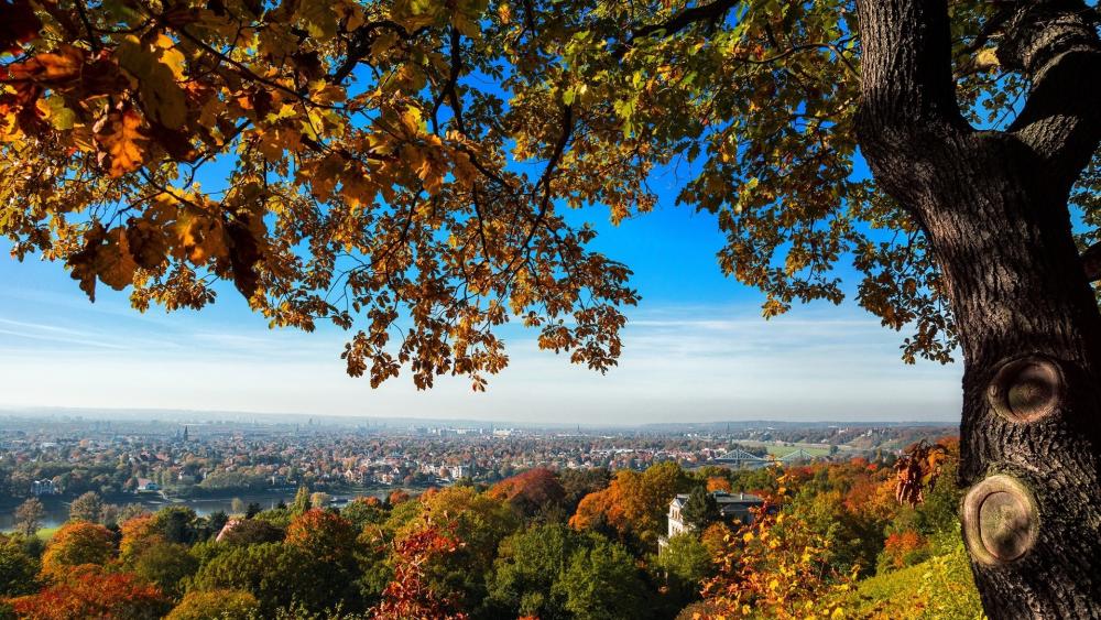 Autumn Cityscape from a Hilltop wallpaper