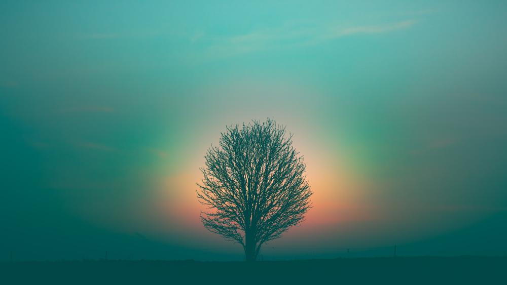 Solitary Tree at Twilight wallpaper