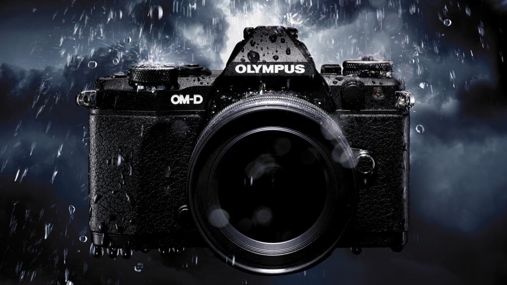 Olympus OM-D Captured in the Rain wallpaper