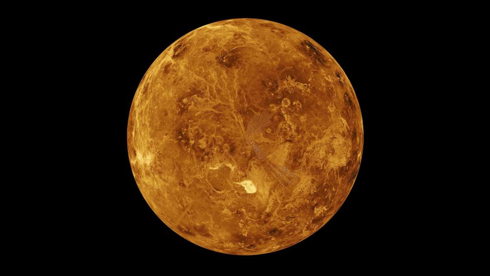 Golden Venus on Black Background wallpaper