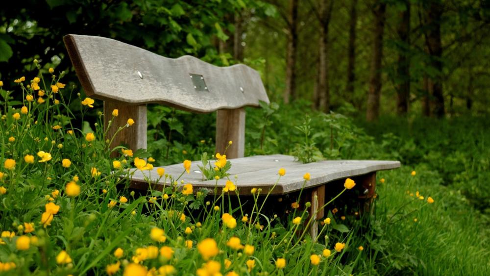 Serene Spring Bench in Bloom wallpaper