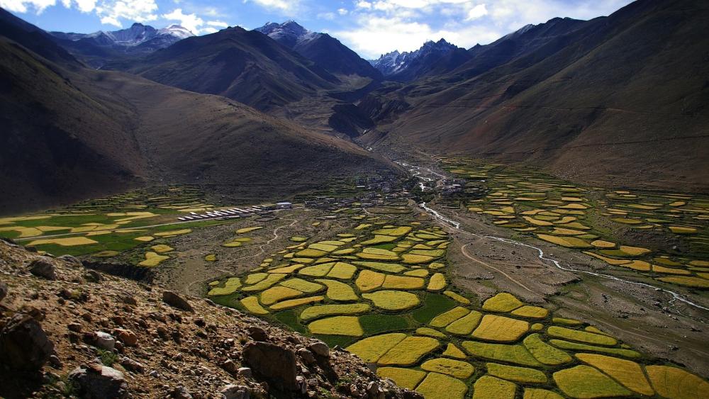 Idyllic Mountain Village in Dolpo Valley wallpaper