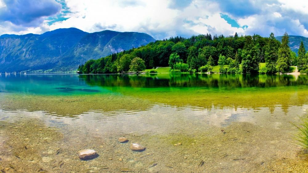 Serene Beauty of Bohinj Lake wallpaper