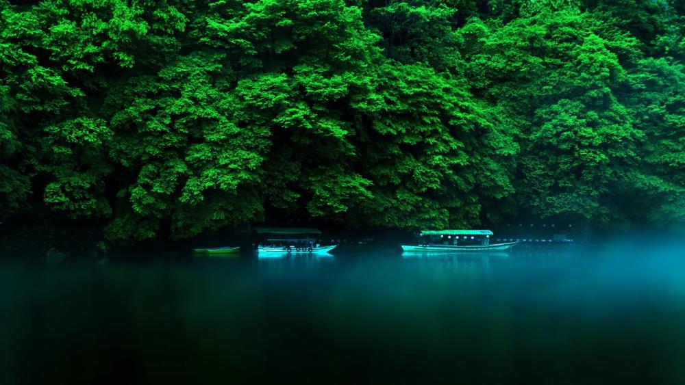 Tranquil Misty Lake in Honshu Japan wallpaper