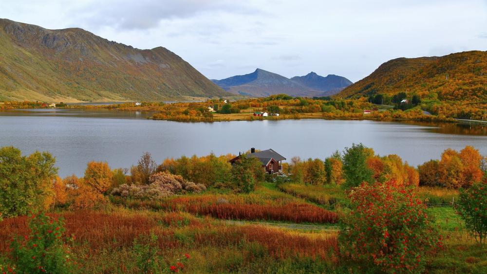 Highland Autumn Tranquility in Norway wallpaper