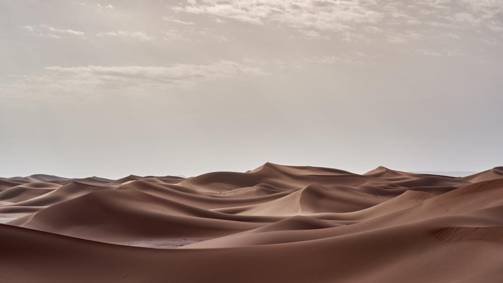 Desert Majesty at Dawn wallpaper