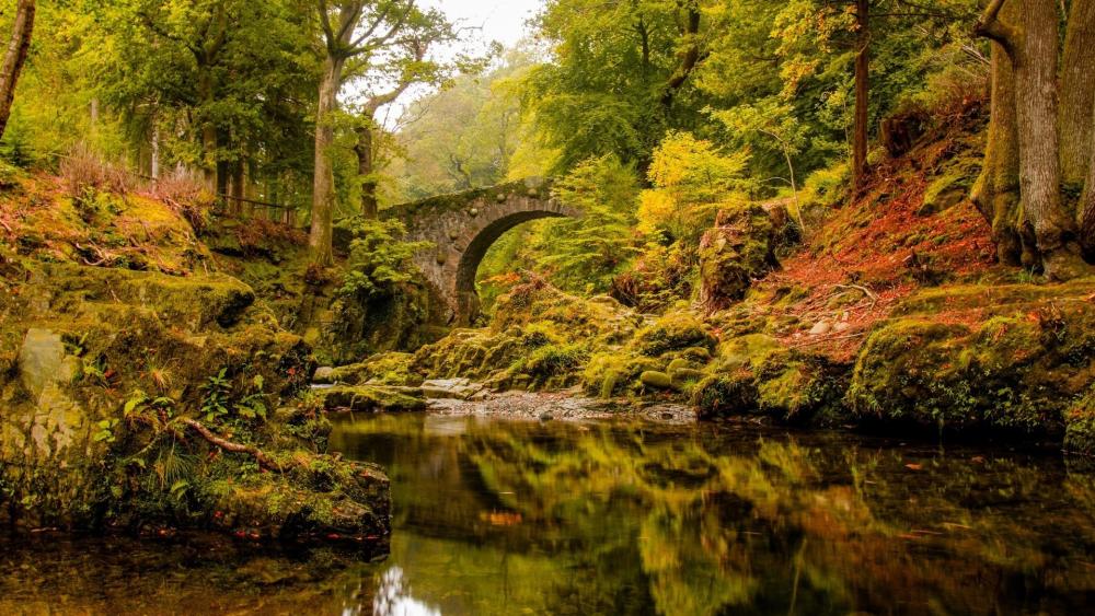 Autumn Tranquility by the Stone Bridge wallpaper