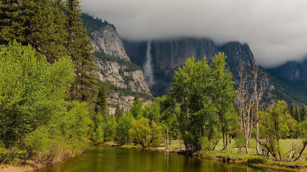 Majestic Yosemite Falls in Springtime wallpaper