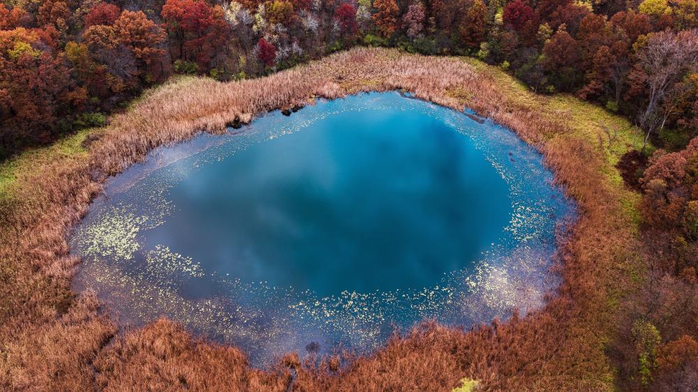 Autumn Forest Lake from Above wallpaper