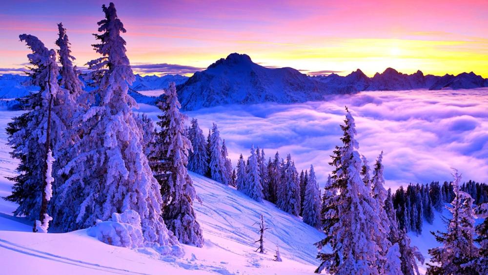 Purple Winter Wonderland Sunset wallpaper