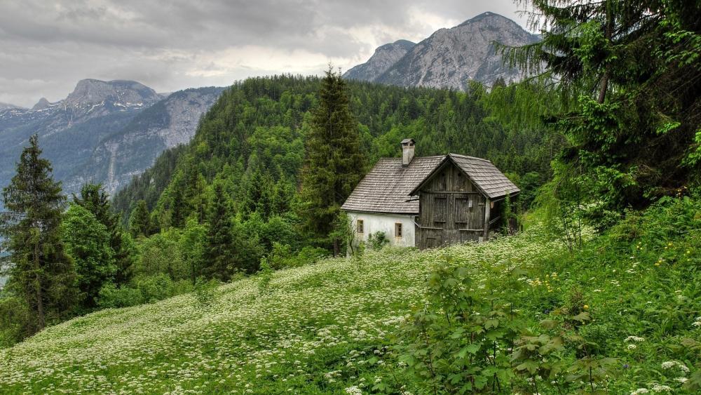 Serene Austrian Mountain Cottage wallpaper