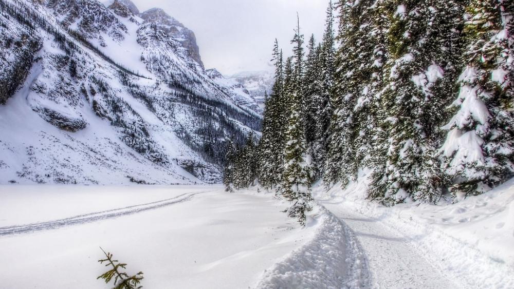 Winter Wonderland in a Snowy Forest Valley wallpaper