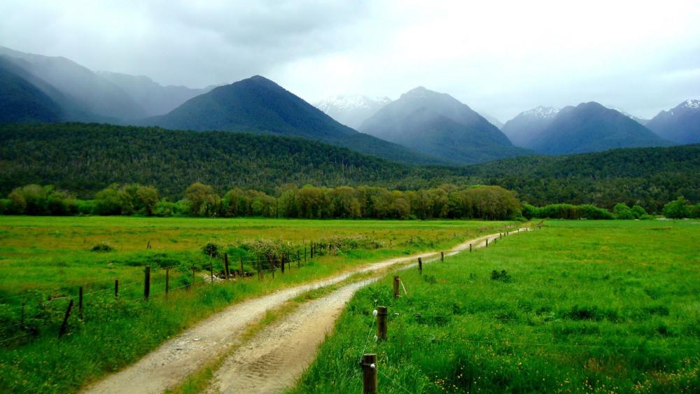 Path Through Green Meadows to Mountains wallpaper