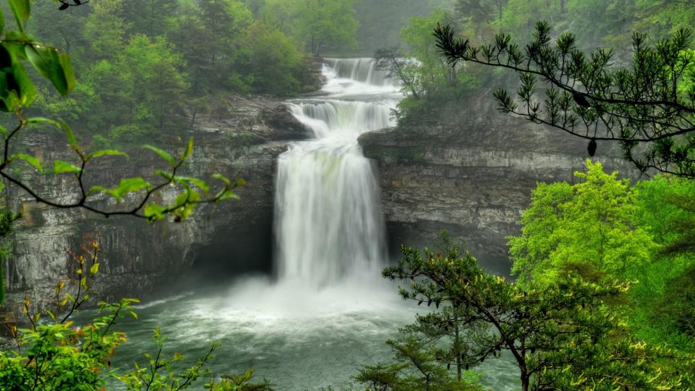 Majestic DeSoto Falls in Springtime Glory wallpaper