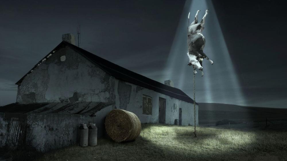 Cow Abduction at the Farmhouse wallpaper