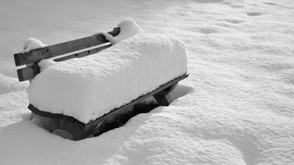 Winter Bench in Monochrome Serenity wallpaper