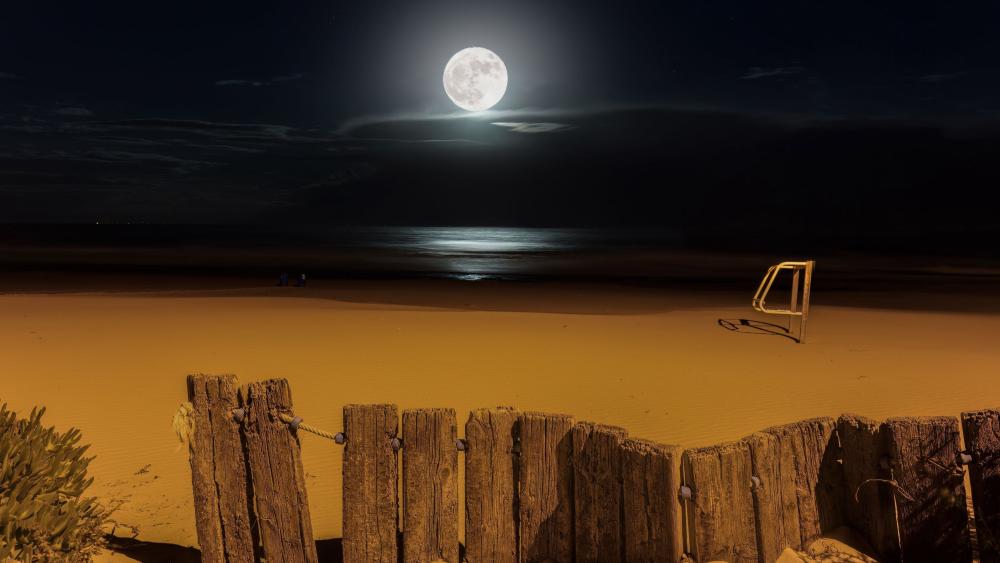 Moonlit Serenity by the Shore wallpaper