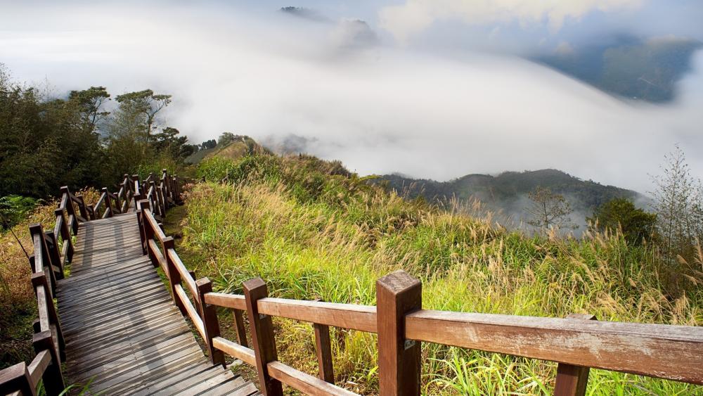 Misty Mountain Boardwalk Path wallpaper